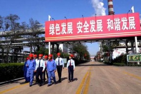 精品国产自在先拍所有,自在先拍，引领潮流