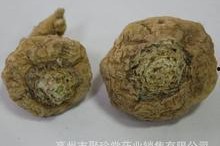 国产全黄,引领绿色环保新潮流